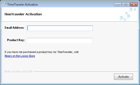 Figure 3: Activation form